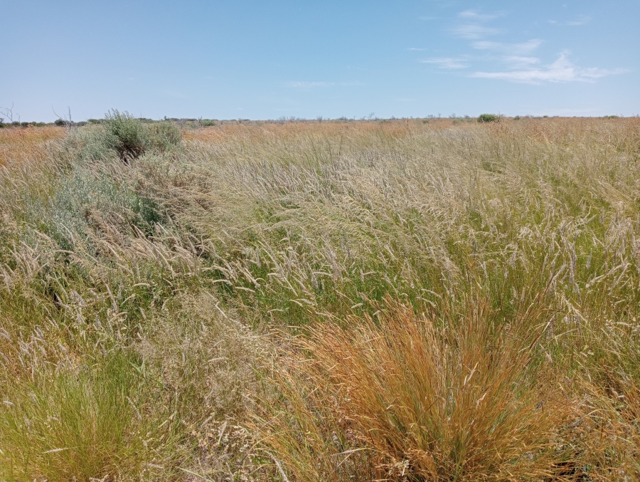 Commercial Property for Sale in Barkly West Northern Cape